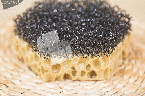 Image of   sponge
