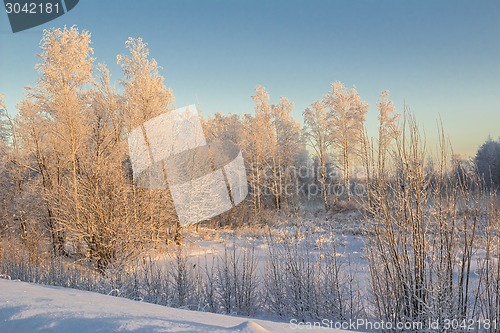 Image of winter Landscape.