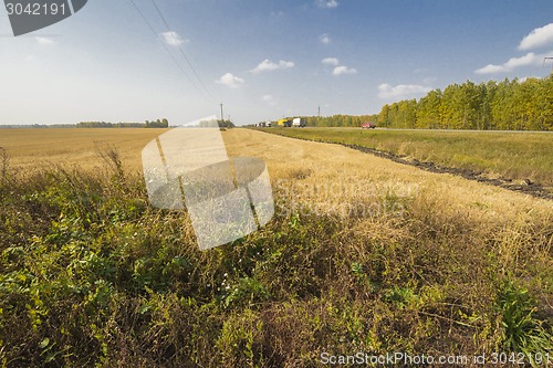 Image of autumn sketches.