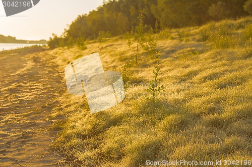 Image of   summer landscape