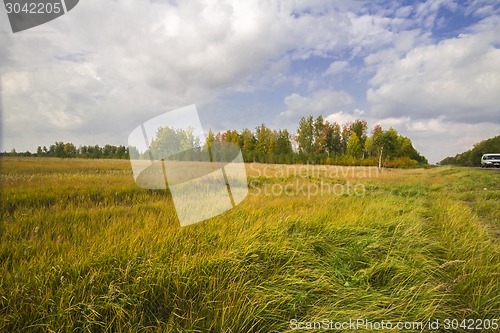 Image of autumn sketches.