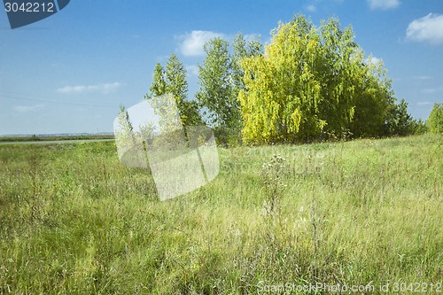 Image of autumn sketches.