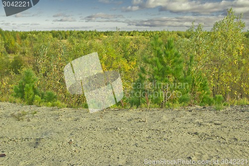 Image of   Landscapes of the Far North