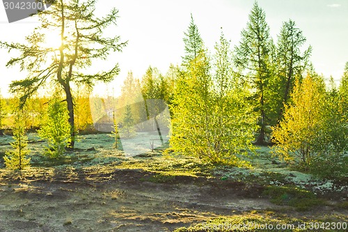 Image of   Landscapes of the Far North