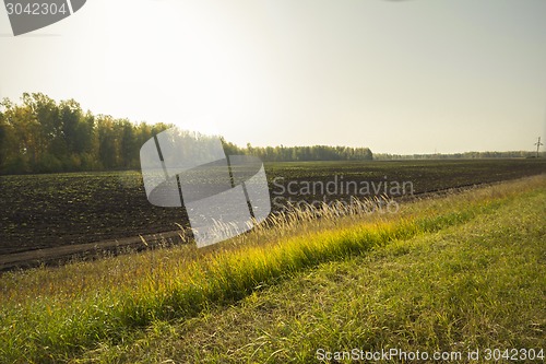 Image of autumn sketches.