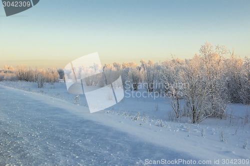 Image of winter Landscape.