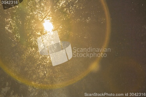 Image of   summer landscape