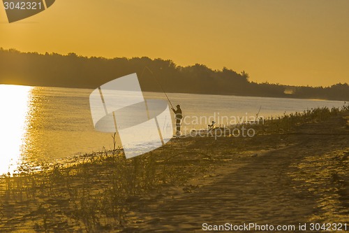 Image of  summer landscape