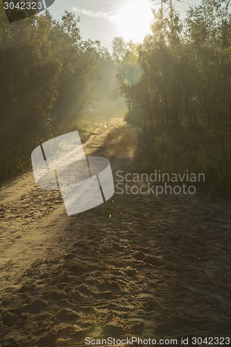 Image of   summer landscape