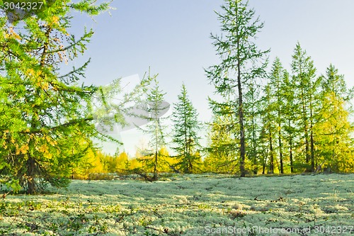 Image of   Landscapes of the Far North