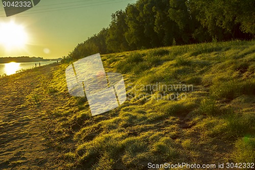 Image of   summer landscape