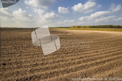 Image of autumn sketches.