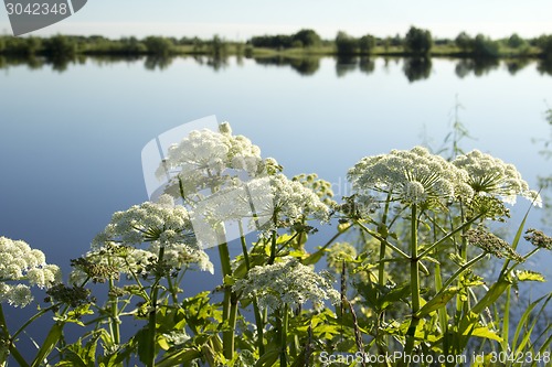 Image of Landscape.