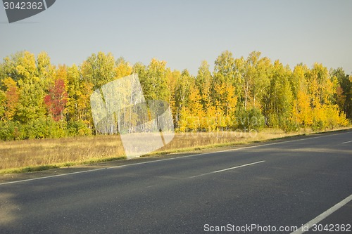 Image of autumn sketches.