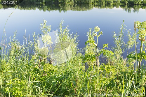 Image of Landscape.