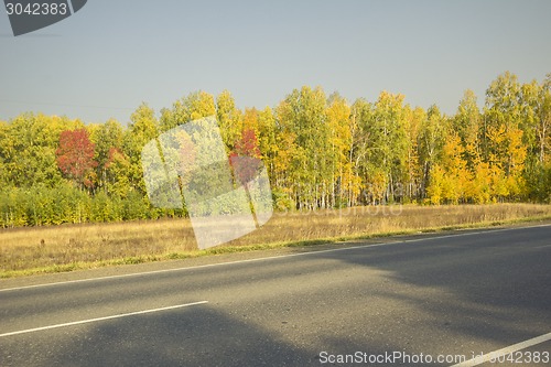 Image of autumn sketches.