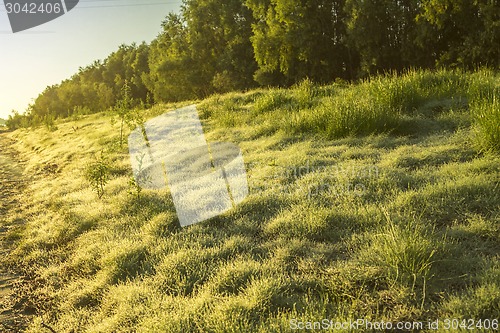 Image of  summer landscape
