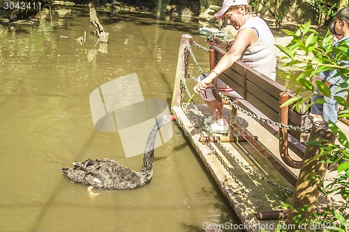 Image of Tailand.Pattayya.Zoopark