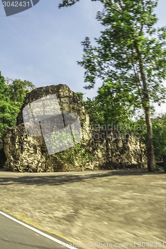 Image of Tailand.Pattayya.Zoopark