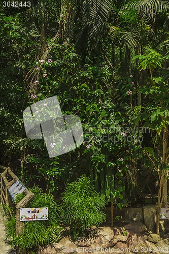 Image of Tailand.Pattayya.Zoopark