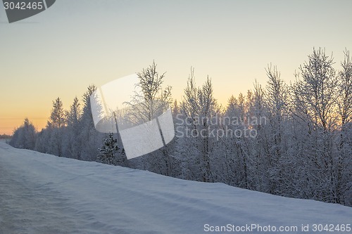Image of winter Landscape.