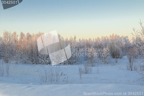 Image of winter Landscape.