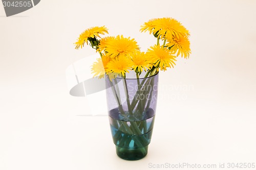 Image of         Yellow flowers