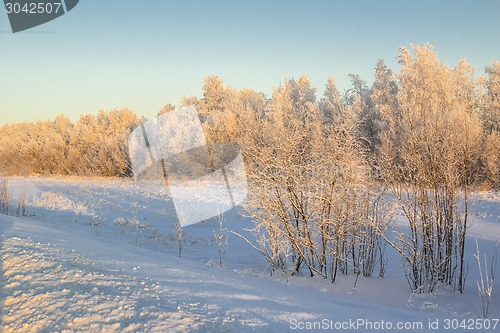 Image of winter Landscape.