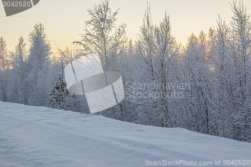 Image of winter Landscape.