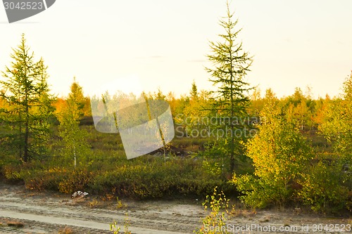 Image of   Landscapes of the Far North