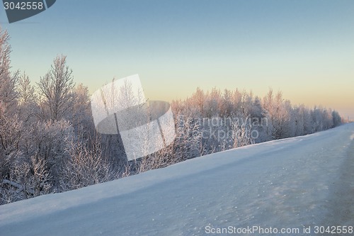 Image of winter Landscape.