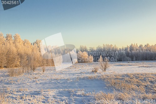 Image of winter Landscape.