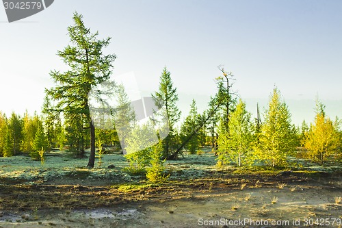 Image of   Landscapes of the Far North