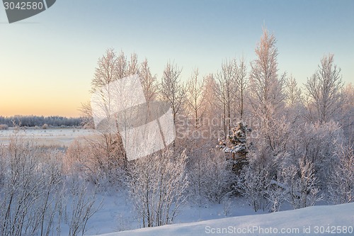 Image of winter Landscape.