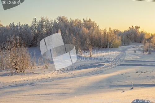 Image of winter Landscape.