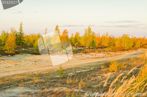 Image of   Landscapes of the Far North