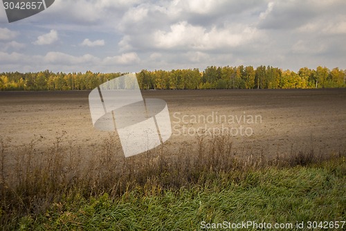 Image of autumn sketches.