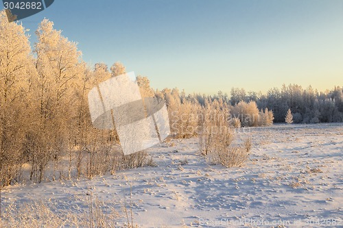 Image of winter Landscape.