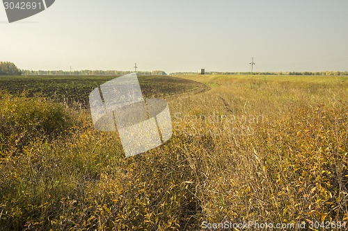 Image of autumn sketches.