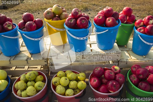 Image of Fruits.