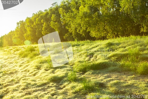 Image of   summer landscape