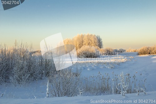 Image of winter Landscape.