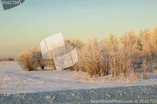 Image of winter Landscape.