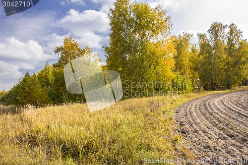 Image of autumn sketches.