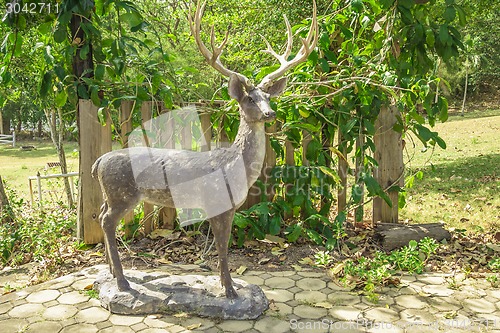 Image of Tailand.Pattayya.Zoopark