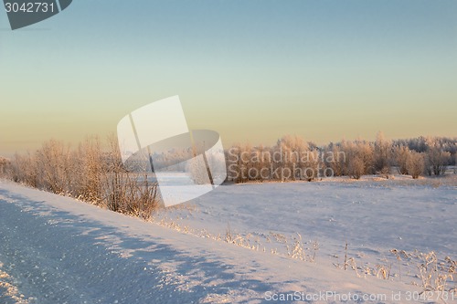 Image of winter Landscape.