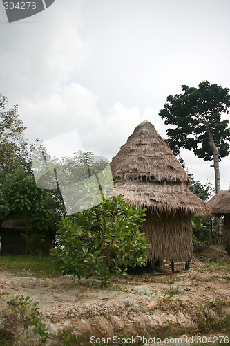 Image of tree house