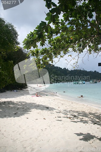 Image of tropical beach