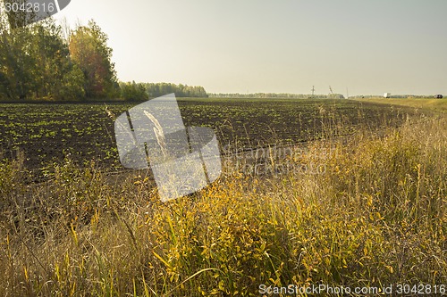 Image of autumn sketches.