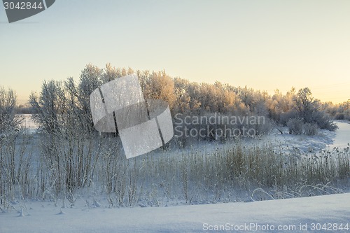 Image of winter Landscape.